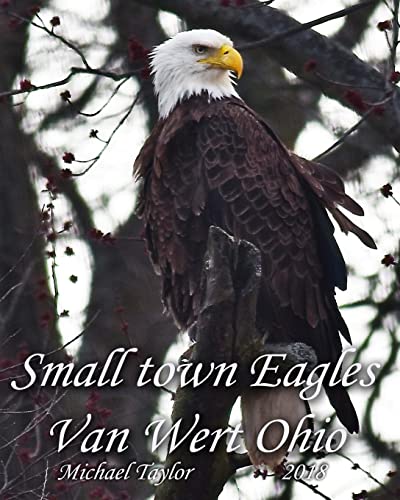 Small town Eagles: Van Wert Ohio