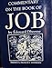 A Commentary on the Book of Job