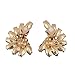 Luxury Fashion Gold Color Crystal Clip on Earrings Without Piecing for Women Party Wedding Anti-Allergy Earrirngs (Black)
