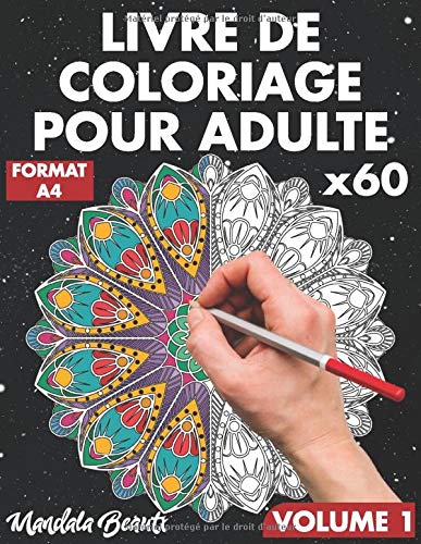  Livre de coloriage pour adulte: 60 mandalas pour la réduction du stress au format A4 / de mandalas PDF Ebook En Ligne