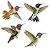 Wild Life Animals Wall Sticker Mural Hummingbirds, Large