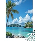 🌸【Une pièce mémorable】 : faites plaisir et défiez votre famille et vos amis en reconstituant cet incroyable puzzle de Sunny island getaway 1000 pièces. Ramenez à la maison des heures de plaisir et de divertissement que tout le monde appréciera.