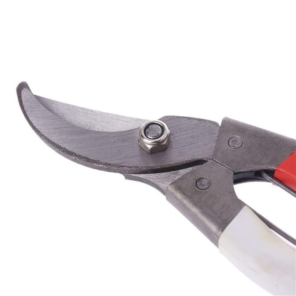 Forbici da potatura, cesoie, cesoie per Piante, Utensili per cespugli, taglierine da 8", Forbici da Giardino