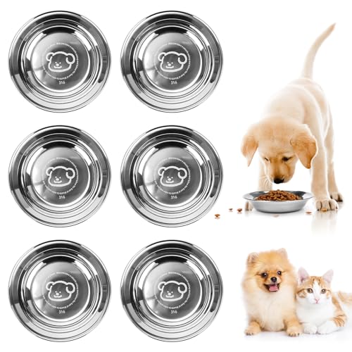 6 ciotole per cani in acciaio inox 316, materiale ciotola per cibo per cani, ciotola per gatti e gatti, 14 cm