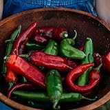 Numex Big Jim Pepper (Hatch Green Chile) - 25 Seeds - Heirloom & Open-Pollinated Variety, USA-Grown Chili Seeds, Non-GMO Vegetable Seeds for Planting Outdoors in The Home Garden, Thresh Seed Company