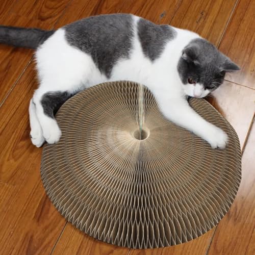 Tableau de grattage de chat à organe jouet de puzzle de chaton multifonction - 4