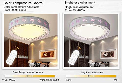 Ledytech 24W 10.7 Inch Remote Control Dimmable Led Ceiling Light Fixtures Replacement Panel Retrofit Board Light Bulb Replace Incandescent Fluorescent Bulb 3000K 6000K(1-Pack) #TOP6