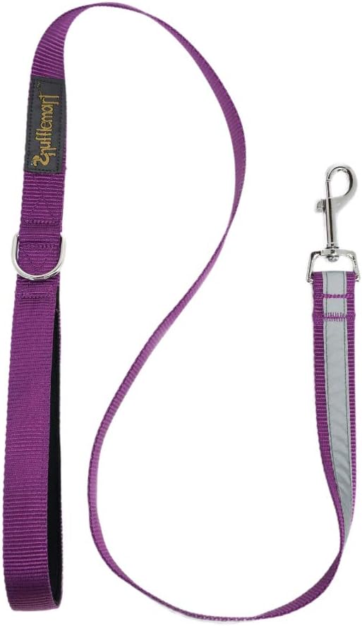 Pet-Safety 4ft Dog Training Leash, Dog Leash for Small Dogs, Dog Leash for Medium Dogs, Night-Protection Reflective Strip, Padded…