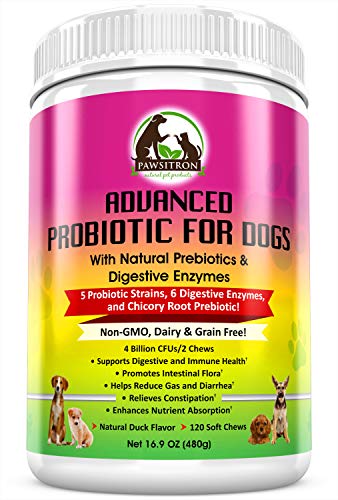 Advanced Probiotics for Dogs with Prebiotics + Digestive Enzymes for Overall Wellness, Digestion, Bad Breath, Diarrhea Relief, Constipation - Healthy Dog Treats, Non GMO, Grain Free, 120 Soft Chews