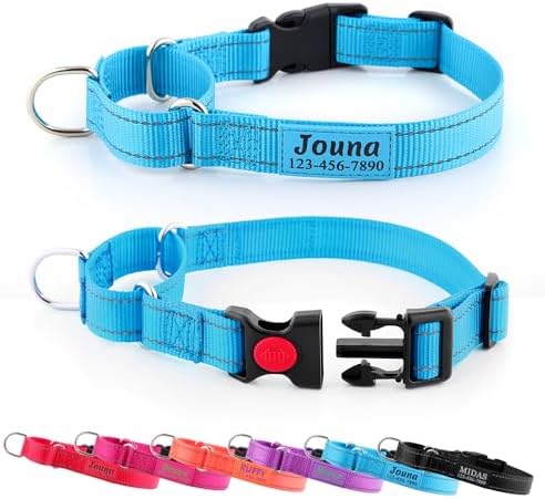 Personalized Martingale Collar for Dogs with Quick Release Buckle - Reflective Nylon Collar with Name and Phone Number for Small Medium Large Dogs