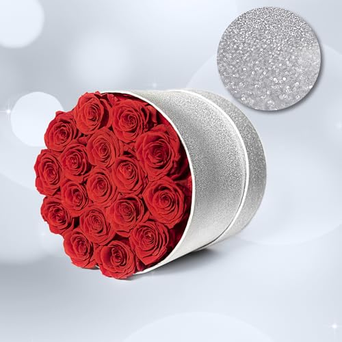 17 Red Flowers in Glitter Box, Birthday Gifts for Women, Preserved Flowers, Mothers Day Roses Gift for Mom