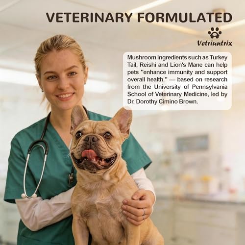 Image of Organic Turkey Tail Mushroom for Large Dogs - Over 50% Beta Glucan - 10-in-1 Mushroom Powder for Immune & Gut Support - Dog Mushroom Supplements for Lumps and Bumps - Chicken Flavor, 200g