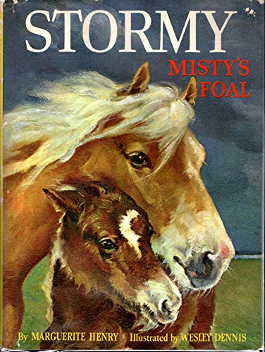 Stormy: Misty's Foal B000KK28FA Book Cover