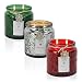 Dynamic Collections Snowflake Embossed Jar Candle - 3 Pack – Scented 2-Wick Candle Gift Set with Lids in Red, Green and Silver