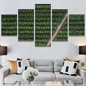 SIGNWIN 5 Panel Canvas Wall Art Organic Arrangement...