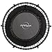 JumpSport 250 | Fitness Trampoline, In-Home Rebounder | Home Cardio Exercise | Safely Cushioned Bounce | Long Lasting Premium Bungees | Top Rated for Quality & Durability | Music Workout Video Incl.