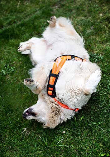 Feltmann Hundegeschirr Mantrailing/Suchgeschirr Profi -Super Soft, Neonorange, reflektierend, Bauchumfang 60-80 cm, 25 mm Bandbreite