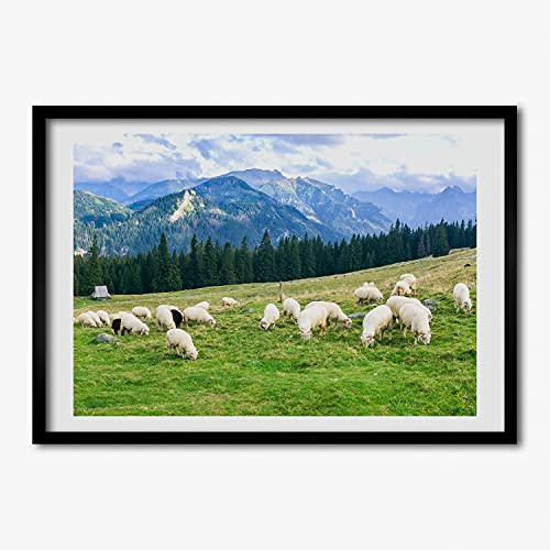 Moutons dans les Tatry cadre MDF 70x50 cm pour raviver un mur blanc
