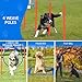 Polar Aurora Dog Agility Equipment, Dog Obstacle Courses Backyard - Pet Outdoor Games w/Adjustable High Jump, Agility Weave Poles, Tunnel, Jumping Ring, Pause Box, 2 Balls,Whistle and Carrying Bag