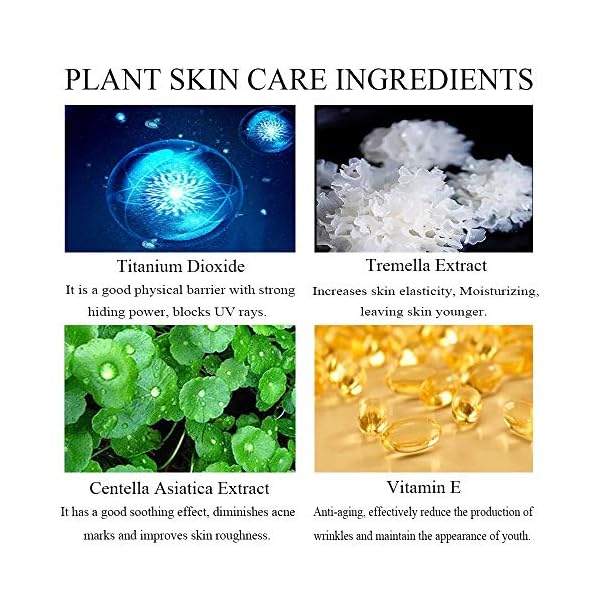 Mushroom Head Air Cushion CC Cream, Natural Moisturizing Highlighting Matte Oil Control Concealer Facial Blemish Concealer Foundation BB Cream for Women Girls (Natural)