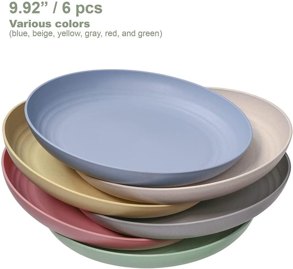 Hobein Large Dinner Plates Set of 6 Lightweight Unbreakable Plastic Multicolour 10 inch Reusable Microwave, Dishwasher & Freezer Safe for Kids, Children, Adult, Picnic, Camping & BBQ, Colourful