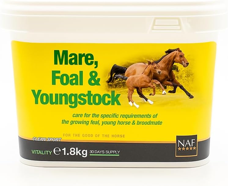 NAF Mare, Foal & Youngstock
