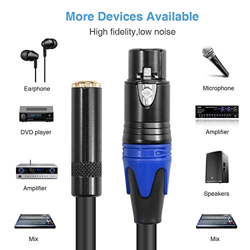 Disino Female Xlr To 1/8 Stereo Cable,Balanced Xlr Female To 3.5Mm(1/8 Inch) Female Trs Mini Jack Audio Converter Adapter Cable - 3.3 Feet/1 M #TOP2