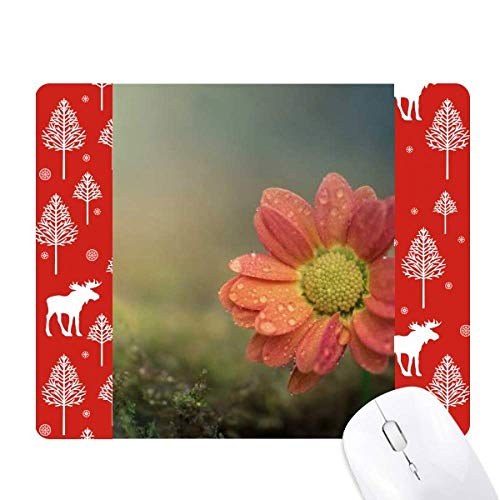 Fleurs rouge foncé la souris noël woods pour table de fête