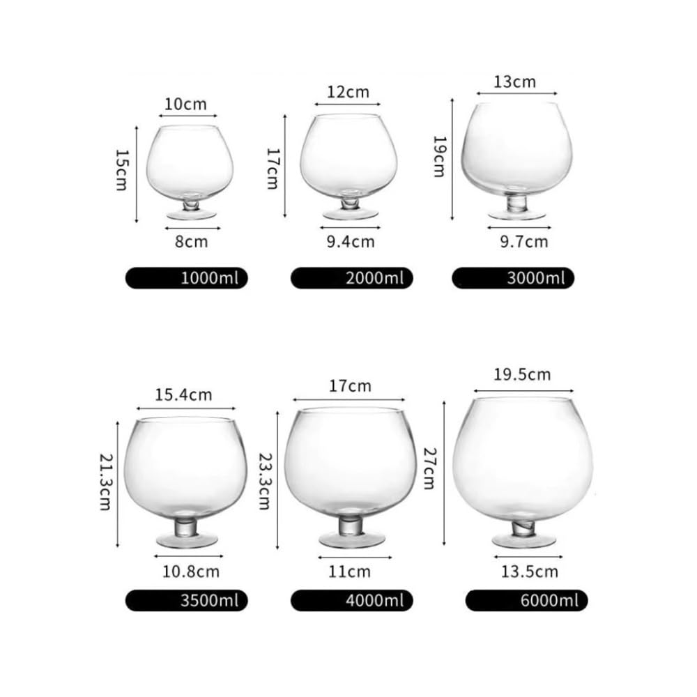 Aquarium Kleines Aquarium aus dickwandigem, transparentem Glas – kreatives Design for Wohnzimmer und Schreibtisch(10cm)