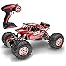 wangch Veicolo Fuoristrada RC In Scala 1/12, Auto Da Arrampicata Elettrica 4WD 2.4G, Camion Impermeabile Bigfoot Monster RC, Ammortizzatore Indipendente 4X4, Migliori Regali Giocattolo Per Adulti E Ba