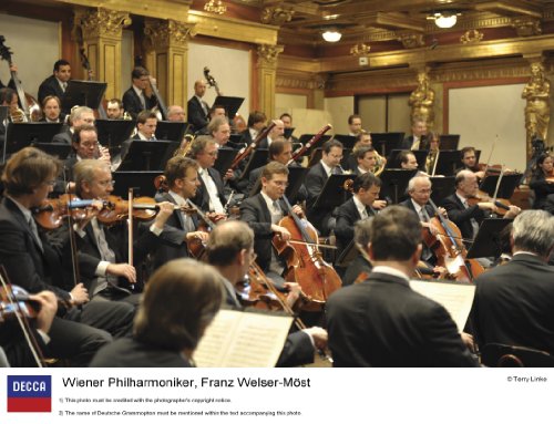 Neujahrskonzert 2011 - Image 7