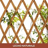 Generico B0GZWZW79D lato 3