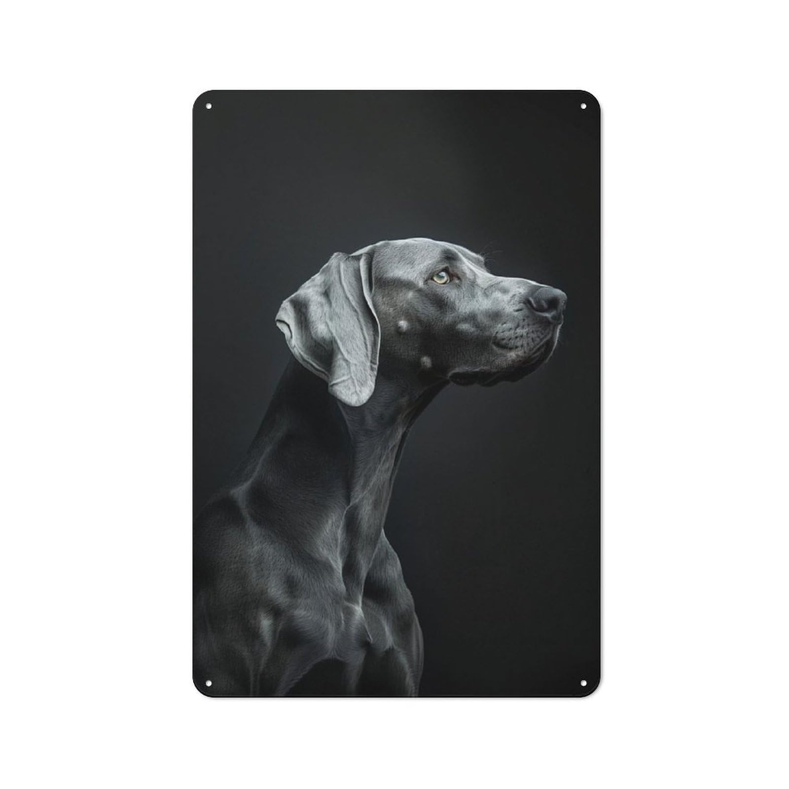 Junmoney Weimaraner Portrait For Café Or Restaurant, Vintage Tin Wall Plaque 30X20cm, New Home Wall Decor For Café Owners And Decorators