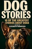 Dog Story: 10 of the Greatest Stories About Dogs
