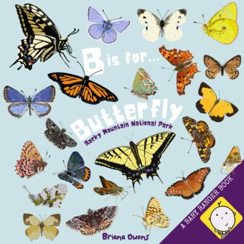 B is for...Butterfly 