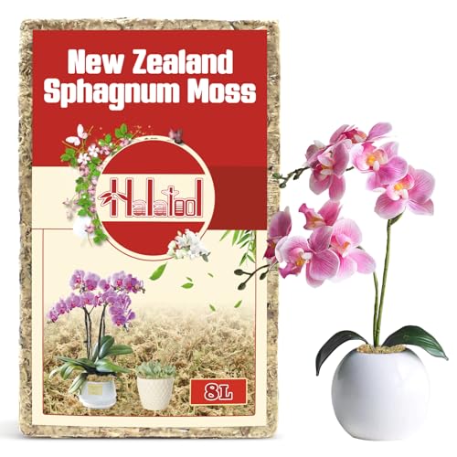 Halatool Premium New Zealand Sphagnum Moss 100g(8L When Hydrated) for Orchid Repotting Succulent Sarracenia Potted Plants Gardening & Reptiles