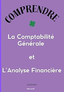 Comprendre la comptabilité et l'analyse financière: Bilan et tableau compte de résultat, ratios et analyse financières, comptabilisation dans les journaux