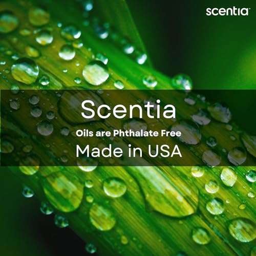 Scentia W Magic Hotel Diffuser Refill Oil Inspired by W Signature Hotel - 500 mL 16.9 fl oz - Fragrance Oil Blend Bergamot, Lemongrass & Jasmine for HVAC Diffuser - Thanksgiving & Holiday Gift - Image 6