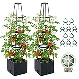 2 Pack Raised Garden Bed Planter Box with Trellis, 57'' Self Watering Tomato Planters for Climbing Plants, Tomato Cage Trellis for Vegetables & Vine Flowers Indoor Outdoor Patio
