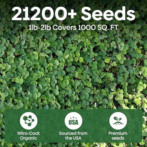Mini Clover Lawn Seed Blends For Soil Improvement