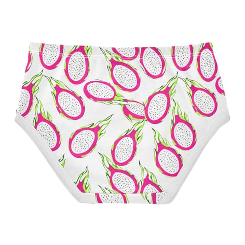 Fruit Pitaya Toddler Girls's Underwear 2T 23022072