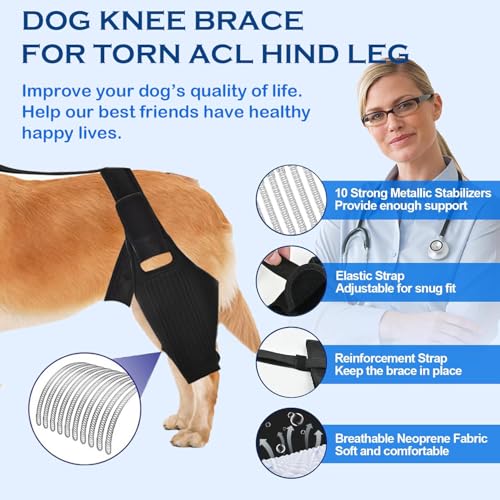 Image of JOMMIE CHEN Dog Knee Brace for Torn ACL, Hind Leg Support Better Recovery with Dog Leg Adjustable Dog Acl Brace (Small)