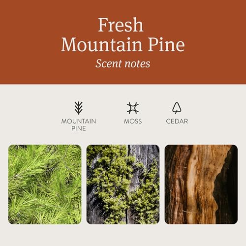 Image of Drift Car Air Freshener - The Original Wood Air Freshener - Car Odor Eliminator - Long Lasting Scent - Auto Accessories - Metal Clip - Essential Oils - Clean Ingredients - Pine Scent Starter Kit