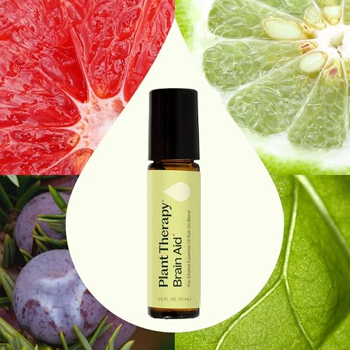 Plant Therapy Brain Aid Essential Oil Blend for Focus & Attention 100% Pure, Pre-Diluted, Natural Aromatherapy, Therapeutic Grade 10 mL (1/3 oz)