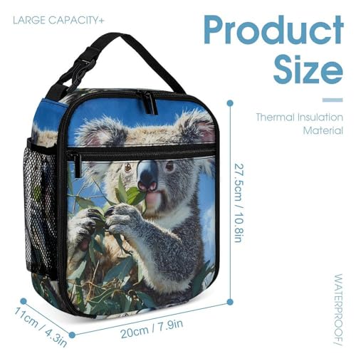 Cute Koala 3 PCS Backpack Set Casual Daypack with Insulated Lunch Bag & Pencil Case4