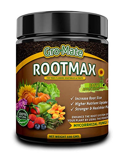 Gro-Mate RootMax Hongos MICORRIZADOS (500 g) Aumenta el tamaño de la raíz de Todas Las Plantas Árboles Arbustos | para Jardines, céspedes, parcelas,