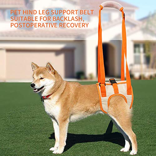 Rozkitch Dog Lift Harness, Pet Rear Support Aid Veterinarian Approved Sling For Old K9 Help With Poor Stability, Back Leg Hip Disabled Joint Injury Elderly And Arthritis Acl Rehabilitation Rehab #TOP4
