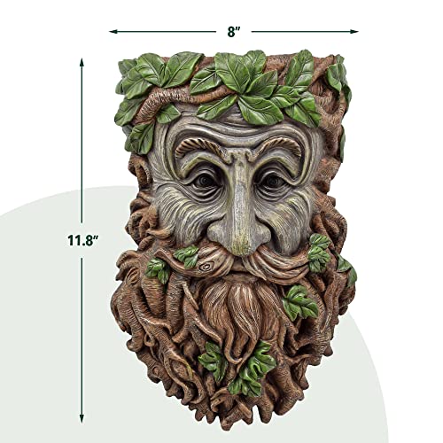 Arcadia Garden Products Tf02 Elderberry Whimsical Face Planter, Outdoor Hugger, Man Spirit Sculpture For Plants, Garden Art Decor, Birdfeeder, Hangs On Trees, Fences Or Walls, Brown #TOP4