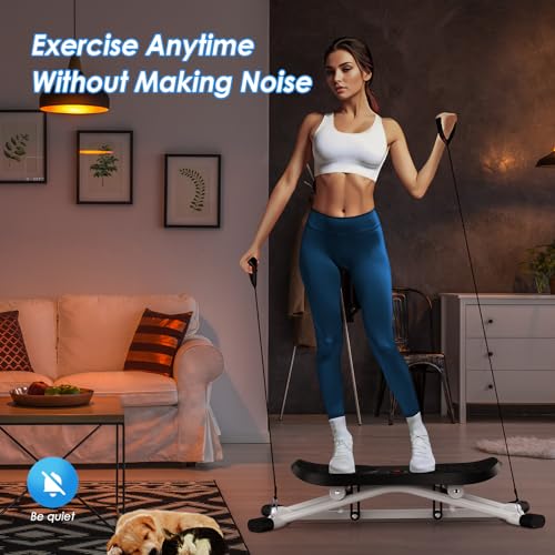Image of 2025 New Ski Simulator Machine,Stridon Balance Board with Resistance Bands&LCD Monitor for Full Body, Noiseless Ski Exercise Machine for Skiing Beginners, Home Use