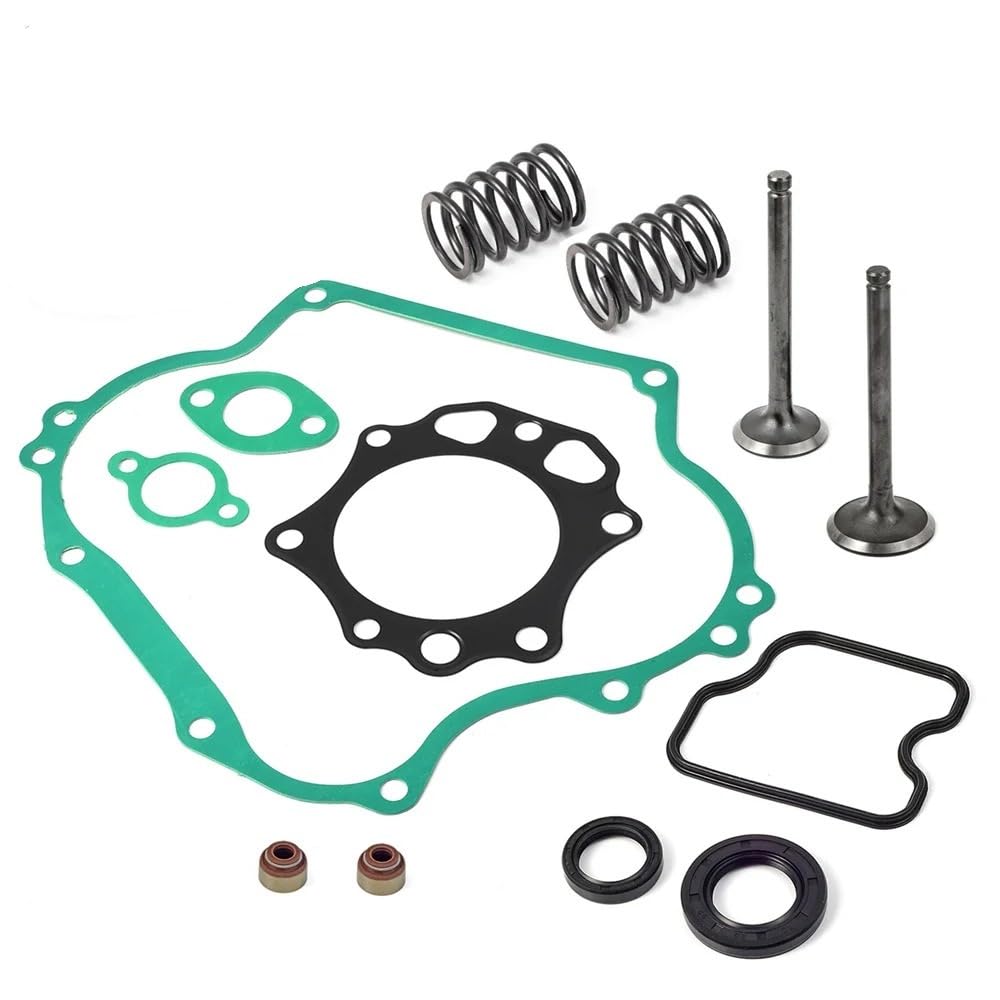 Válvula de escape de admisión de sello de junta de motor compatible con DS PFE290 1016447 448 290CC